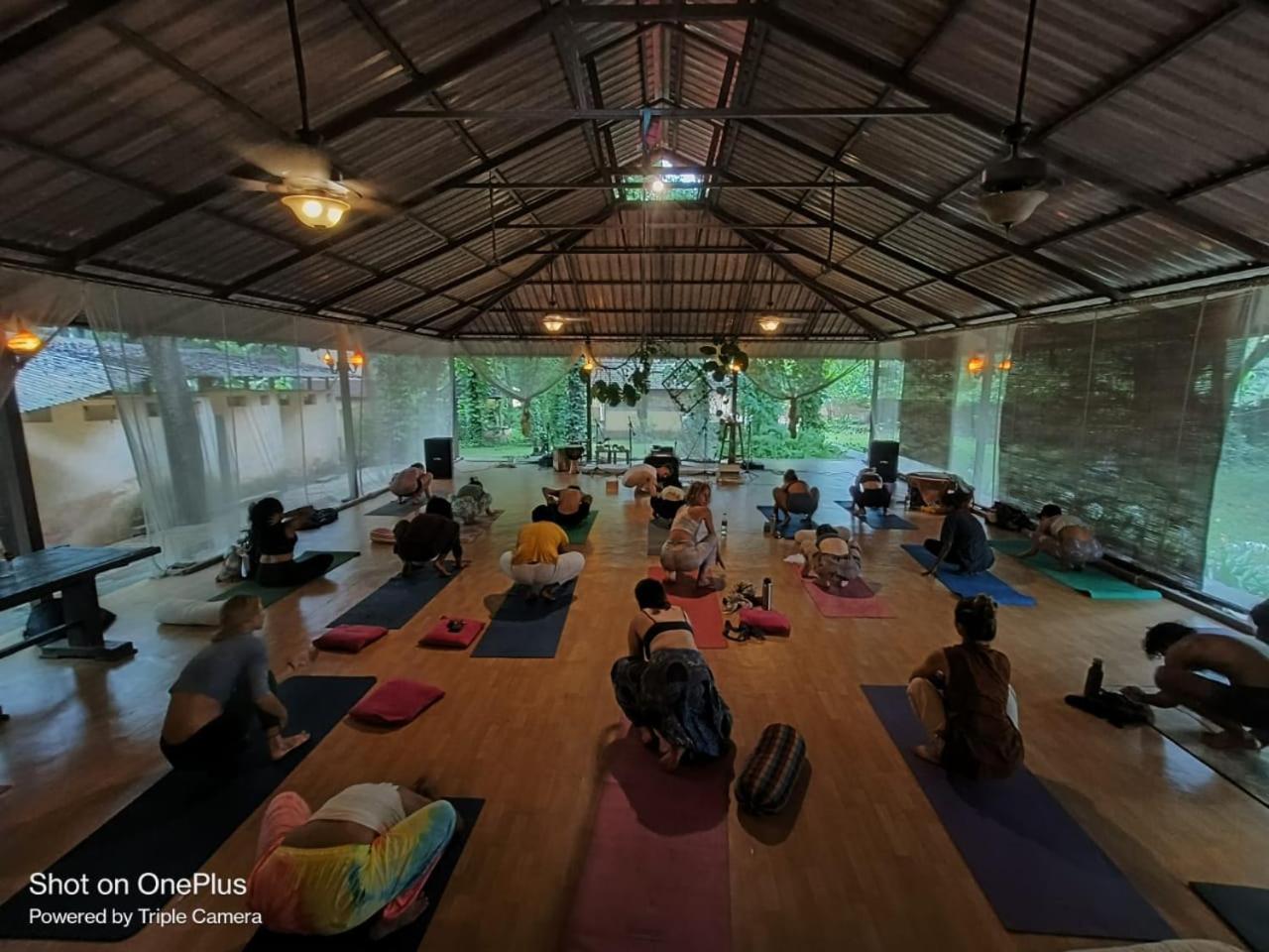 Satori Wellness Cottages I Yoga, Sauna, Ice Bath, Holistic Therapies & More Mandrem Ngoại thất bức ảnh