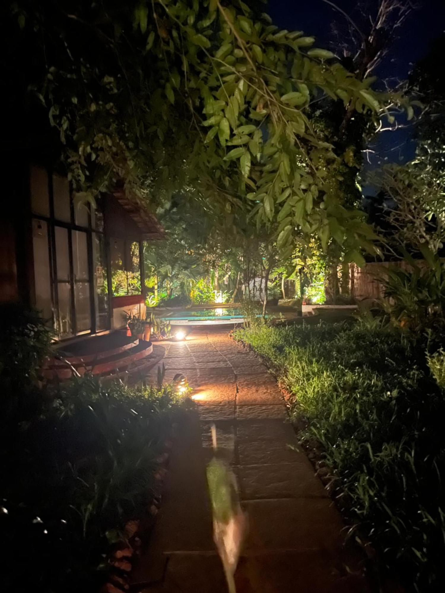 Satori Wellness Cottages I Yoga, Sauna, Ice Bath, Holistic Therapies & More Mandrem Ngoại thất bức ảnh