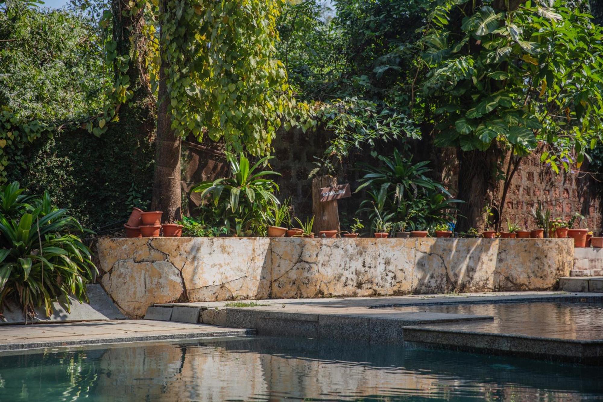 Satori Wellness Cottages I Yoga, Sauna, Ice Bath, Holistic Therapies & More Mandrem Ngoại thất bức ảnh