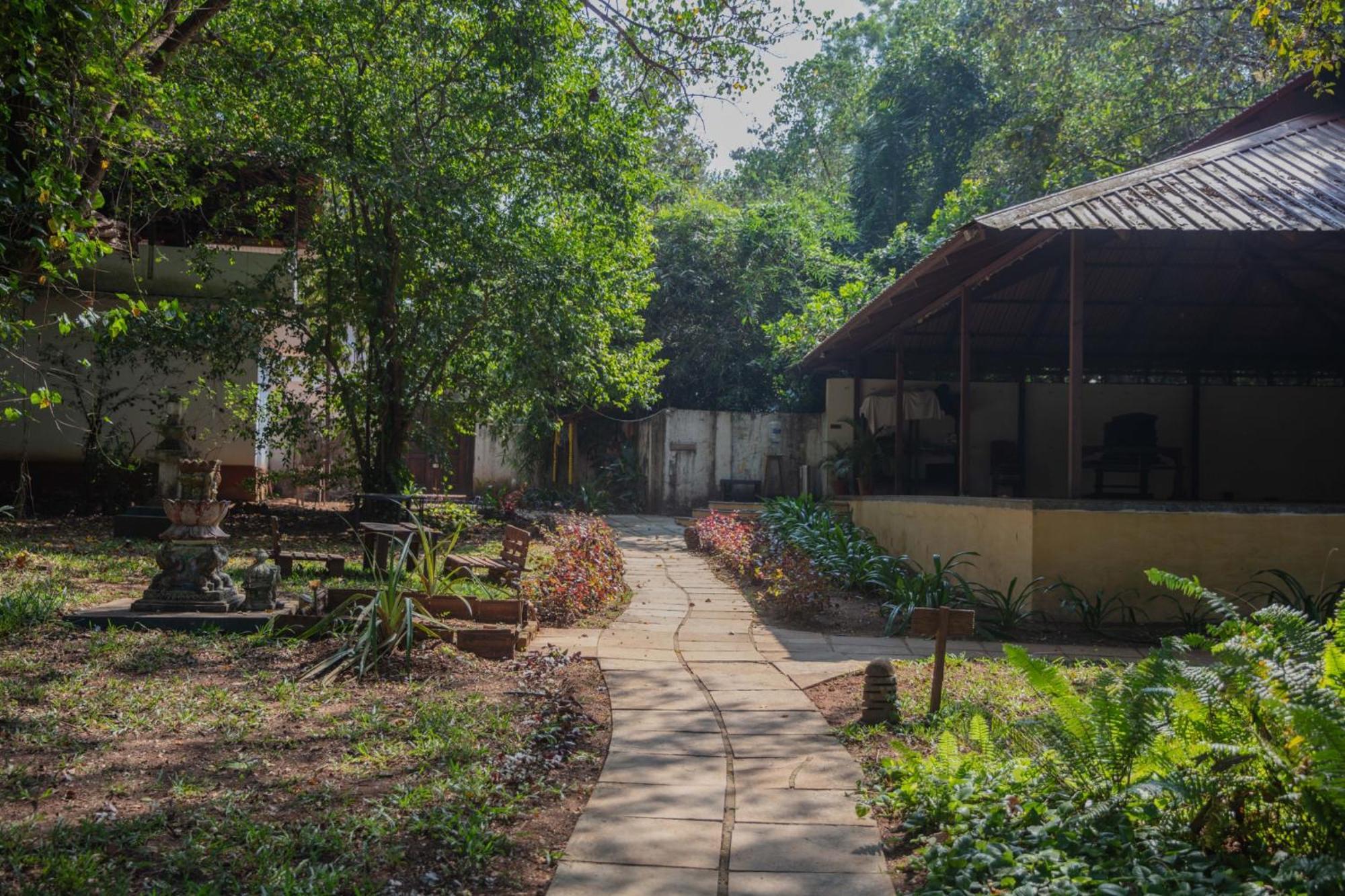 Satori Wellness Cottages I Yoga, Sauna, Ice Bath, Holistic Therapies & More Mandrem Ngoại thất bức ảnh