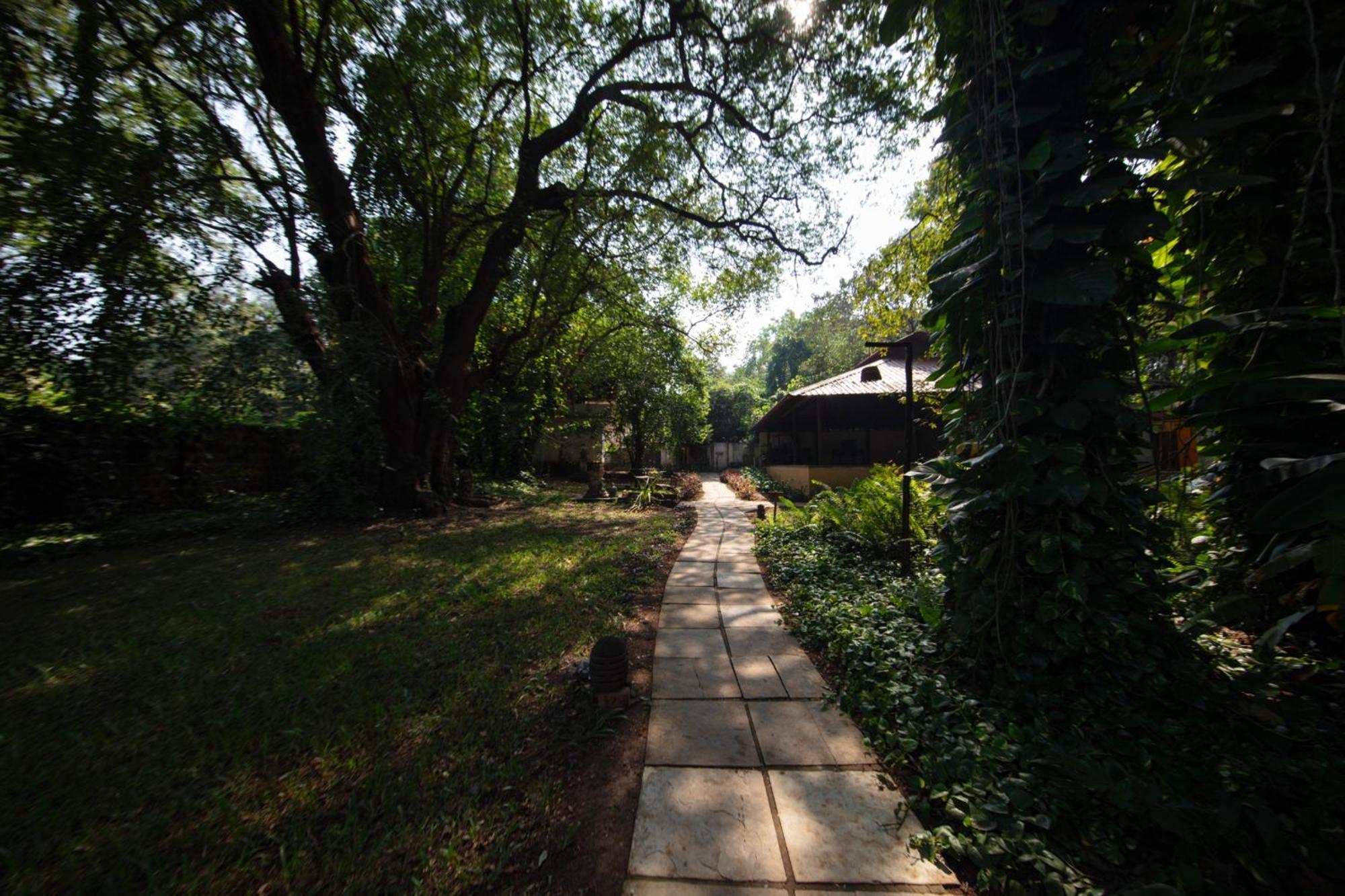 Satori Wellness Cottages I Yoga, Sauna, Ice Bath, Holistic Therapies & More Mandrem Ngoại thất bức ảnh