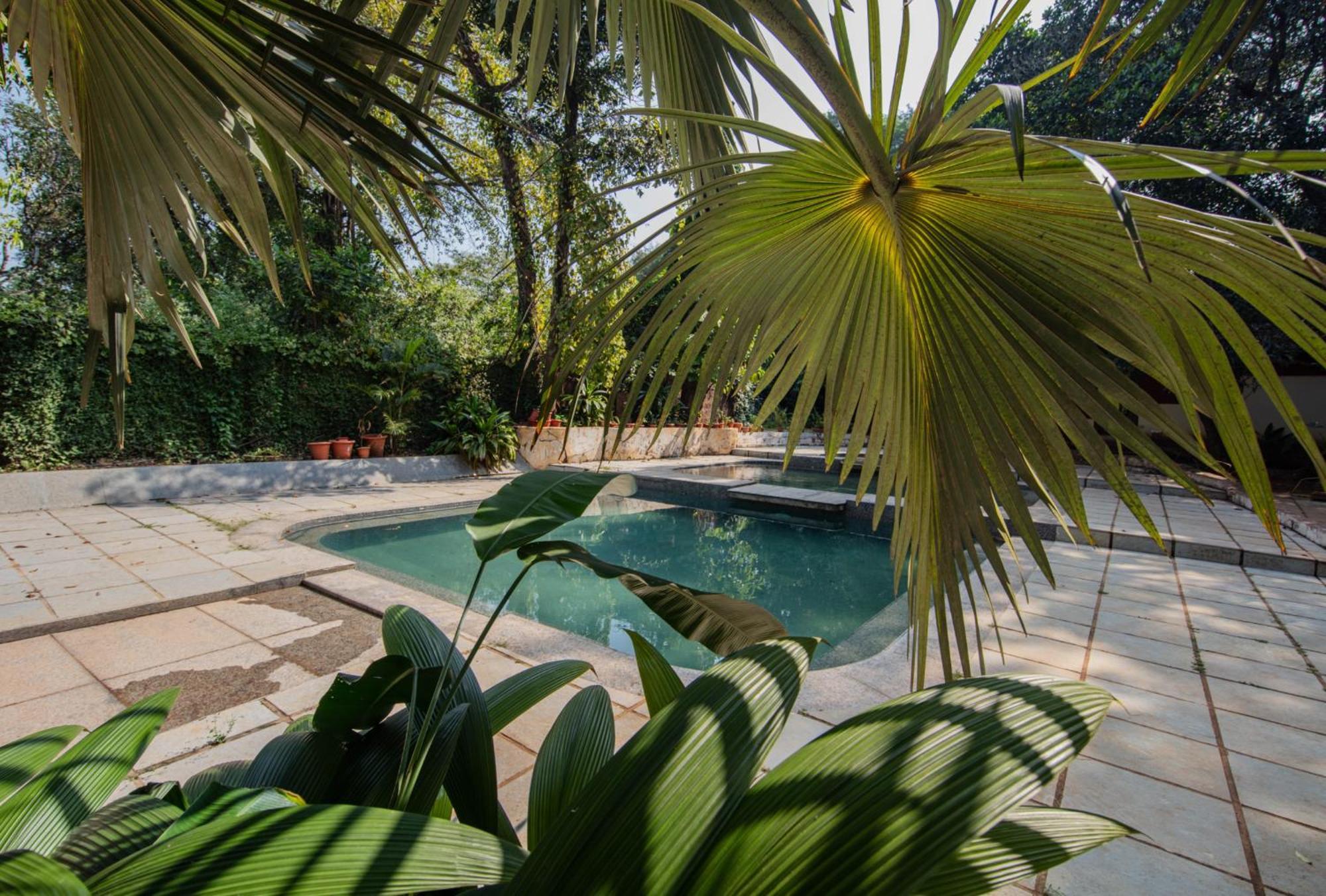 Satori Wellness Cottages I Yoga, Sauna, Ice Bath, Holistic Therapies & More Mandrem Ngoại thất bức ảnh