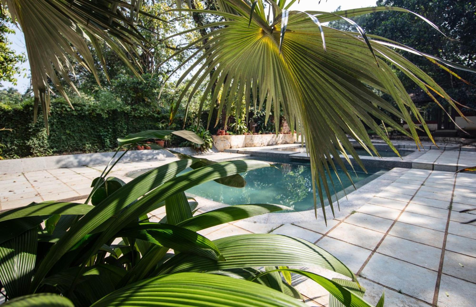 Satori Wellness Cottages I Yoga, Sauna, Ice Bath, Holistic Therapies & More Mandrem Ngoại thất bức ảnh